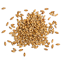 https://vardam.si/wp-content/uploads/2017/05/ingredients_transparent_03.png